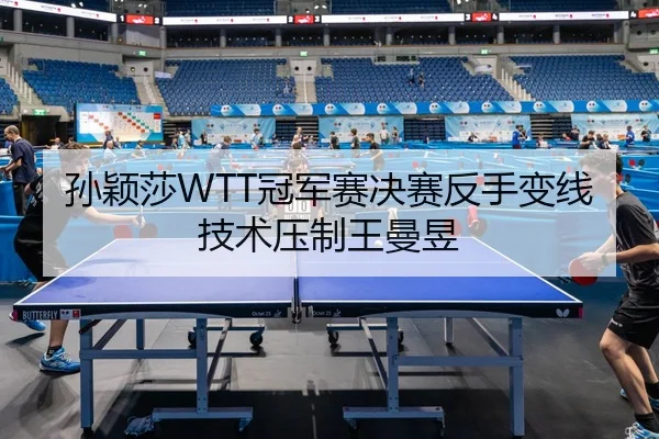 sun-ying-sha-guan-jun-sai-jue-sai-fan-shou-bian-xian-ji-shu-ya-zhi-wang-man-yu-3-548.jpg