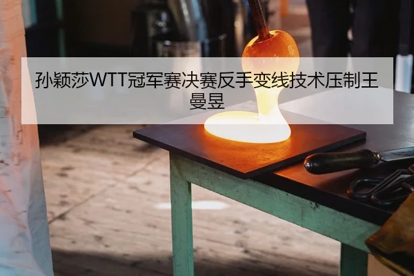 孙颖莎WTT冠军赛决赛反手变线技术压制王曼昱