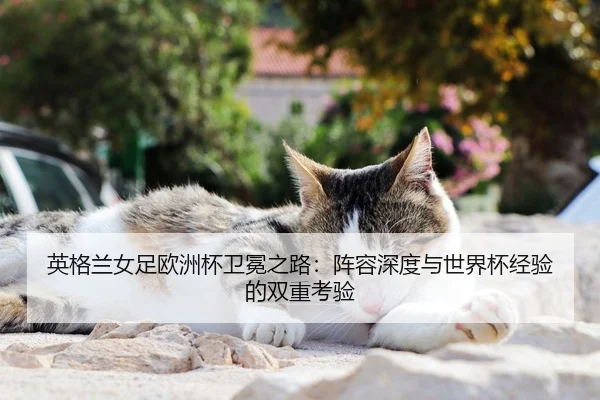 英格兰女足欧洲杯卫冕之路：阵容深度与世界杯经验的双重考验