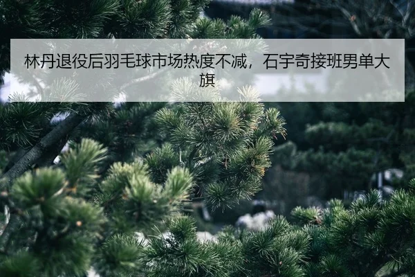 lin-dan-tui-yi-hou-yu-mao-qiu-shi-chang-re-du-bu-jian-shi-yu-qi-jie-ban-nan-dan-da-qi-2-202.jpg