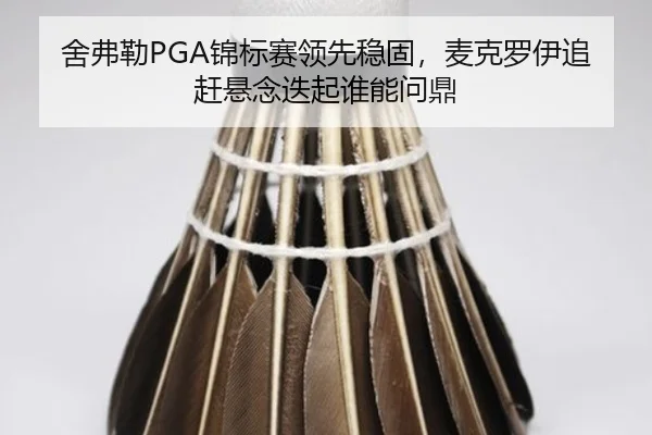 舍弗勒PGA锦标赛领先稳固，麦克罗伊追赶悬念迭起谁能问鼎