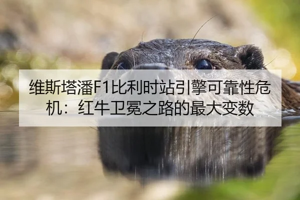 wei-si-ta-pan-bi-li-shi-zhan-yin-qing-ke-kao-xing-wei-ji-hong-niu-wei-mian-zhi-lu-de-zui-da-bian-shu-2-969.jpg