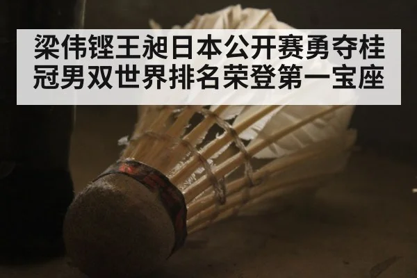 梁伟铿王昶日本公开赛勇夺桂冠男双世界排名荣登第一宝座